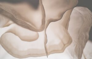 釜山APM:忘れられた洋紗の歴史