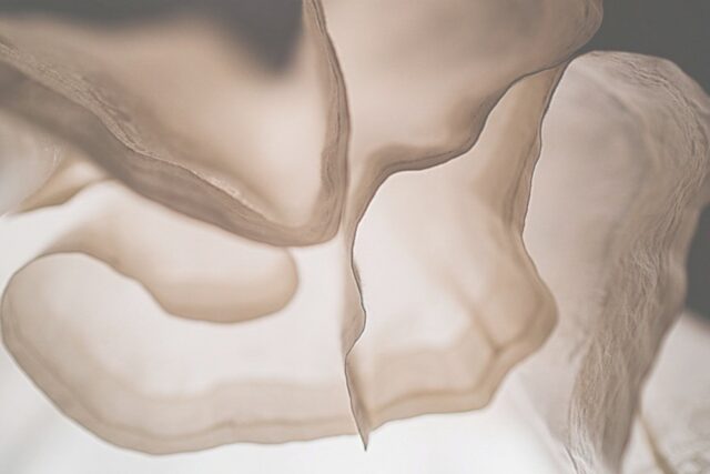 釜山APM:忘れられた洋紗の歴史