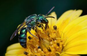 AIヒューマノイド時代到来