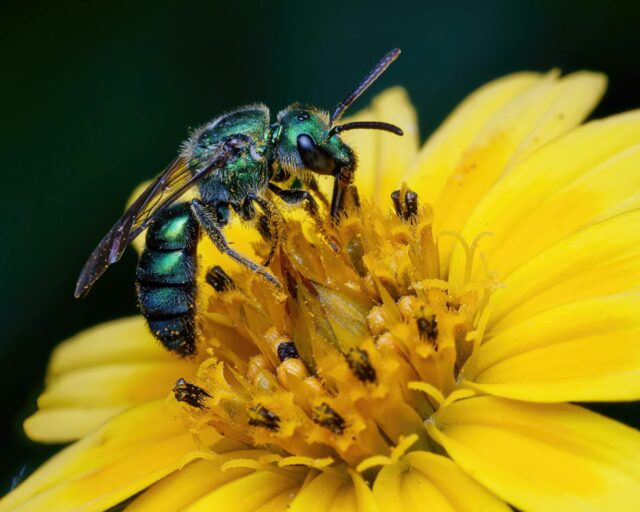 AIが変える世界