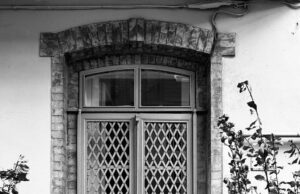 キム・トゥーイ氏の詩的FB投稿、物議