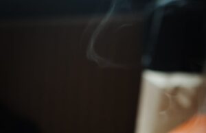 トリエル監督、ハリウッドを拒否した理由