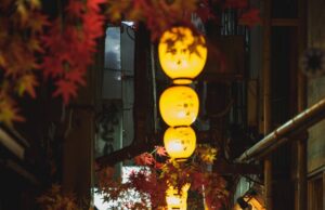 高タンパク質食の落とし穴